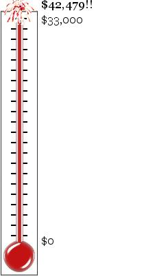 Funds Raised